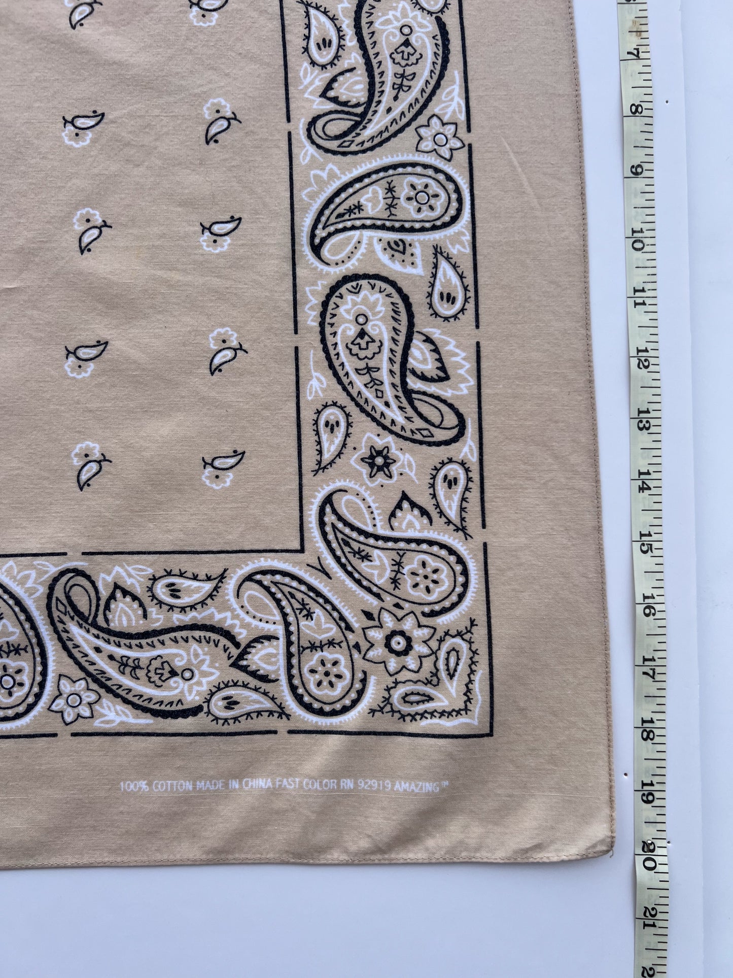 Beige Wash Paisley Border Print Bandana
