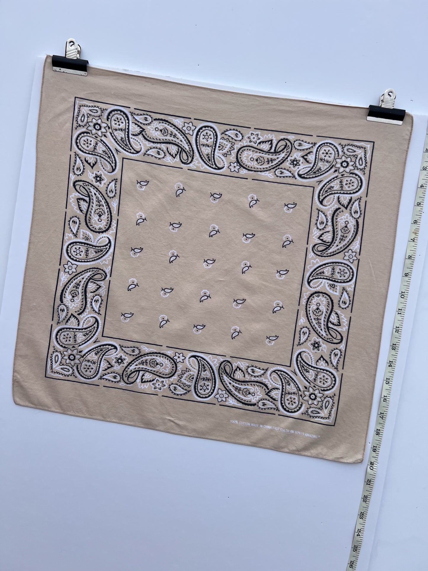 Beige Wash Paisley Border Print Bandana