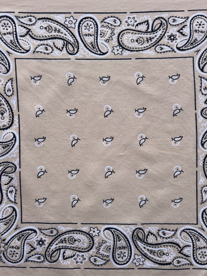 Beige Wash Paisley Border Print Bandana