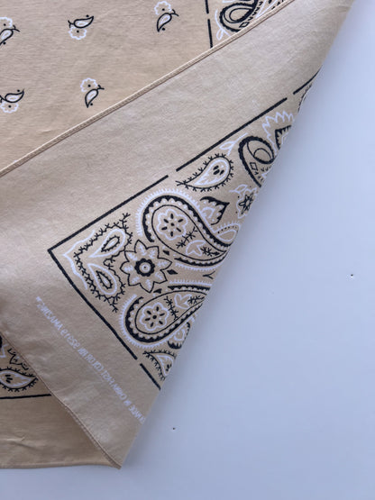 Beige Wash Paisley Border Print Bandana
