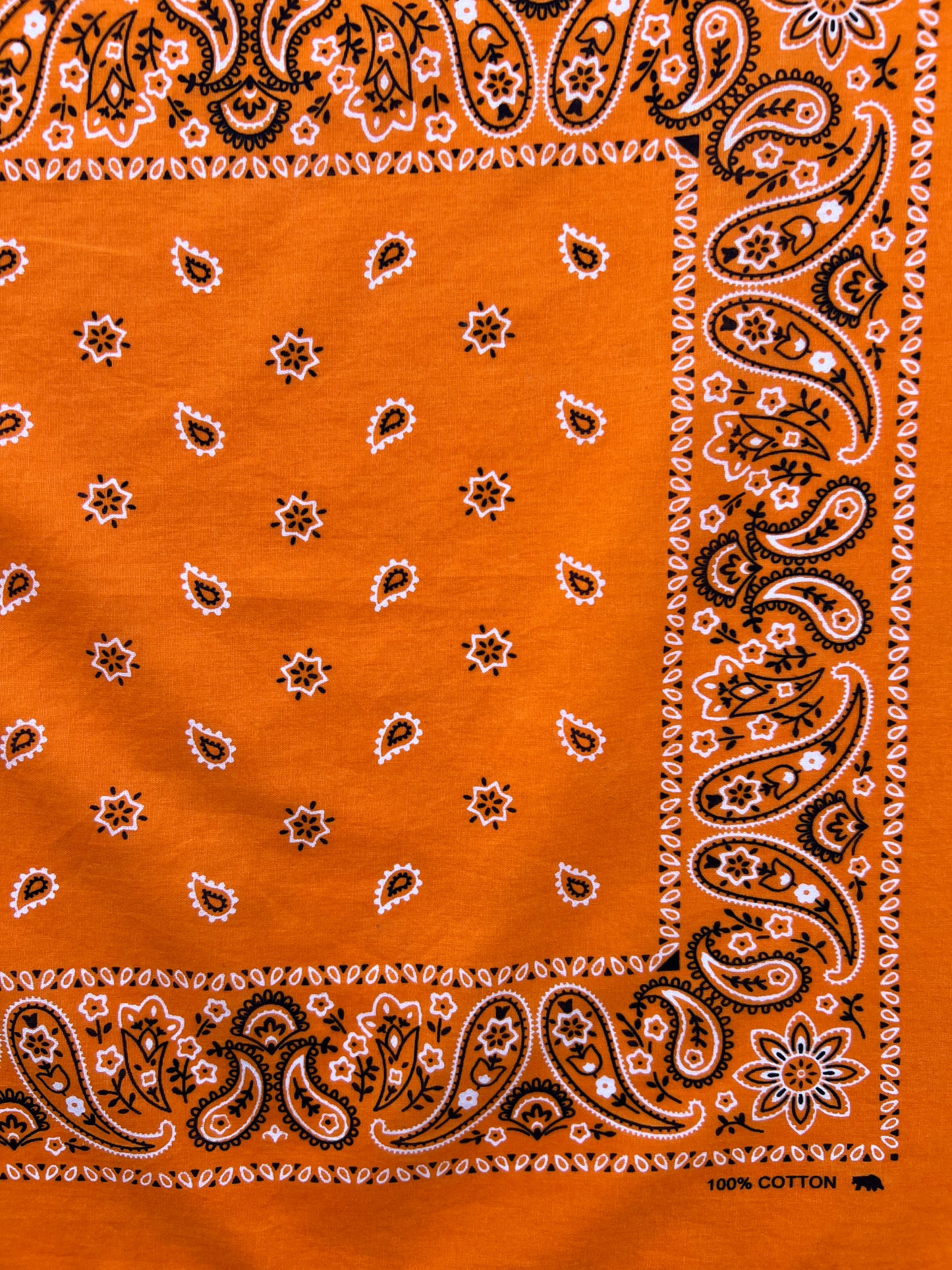 Orange Paisley & Floral Print Bandana