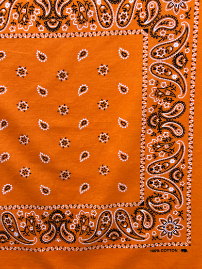 Orange Paisley & Floral Print Bandana