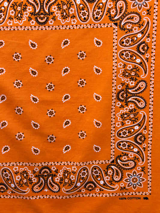 Orange Paisley & Floral Print Bandana