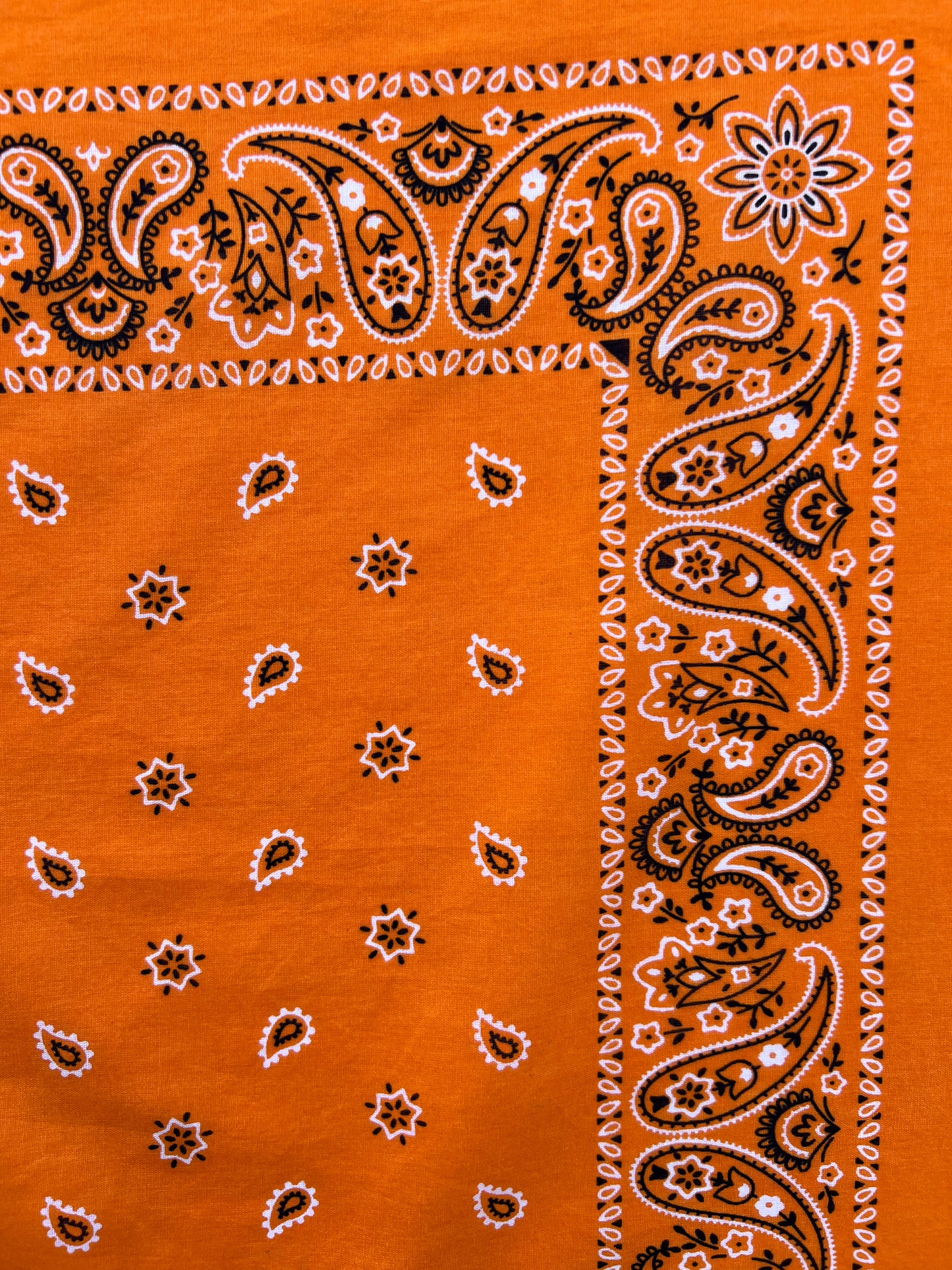 Orange Paisley & Floral Print Bandana