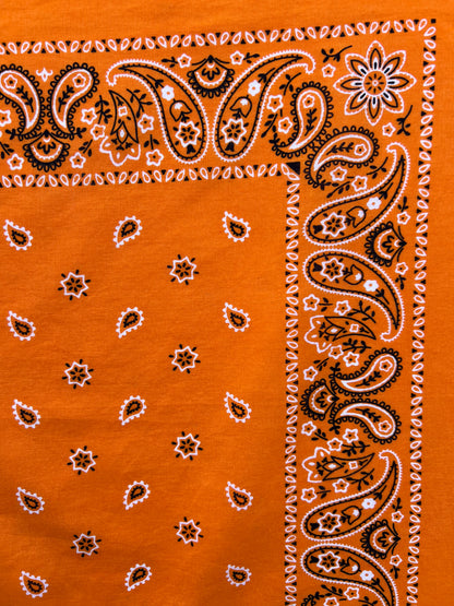 Orange Paisley & Floral Print Bandana