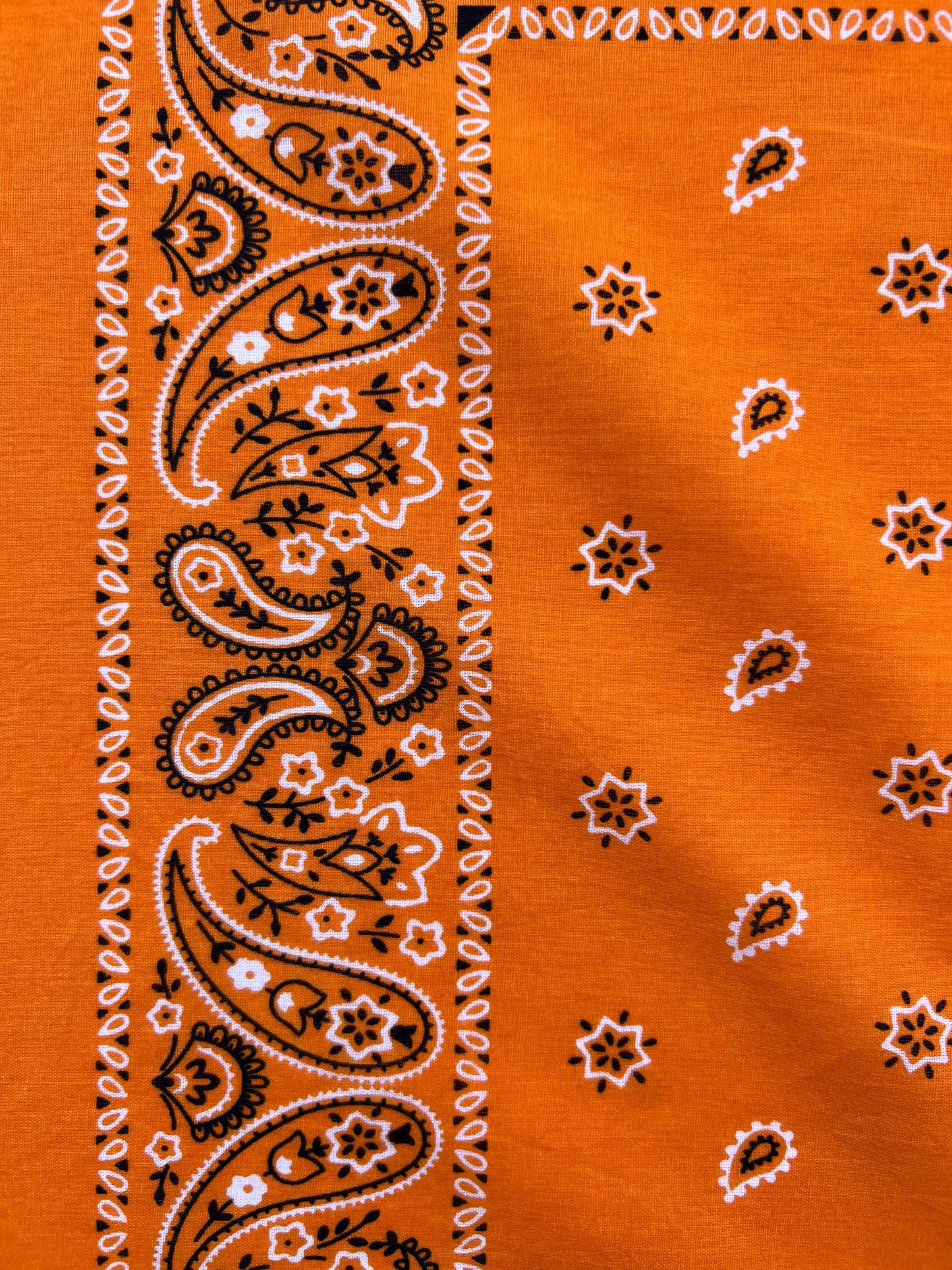 Orange Paisley & Floral Print Bandana