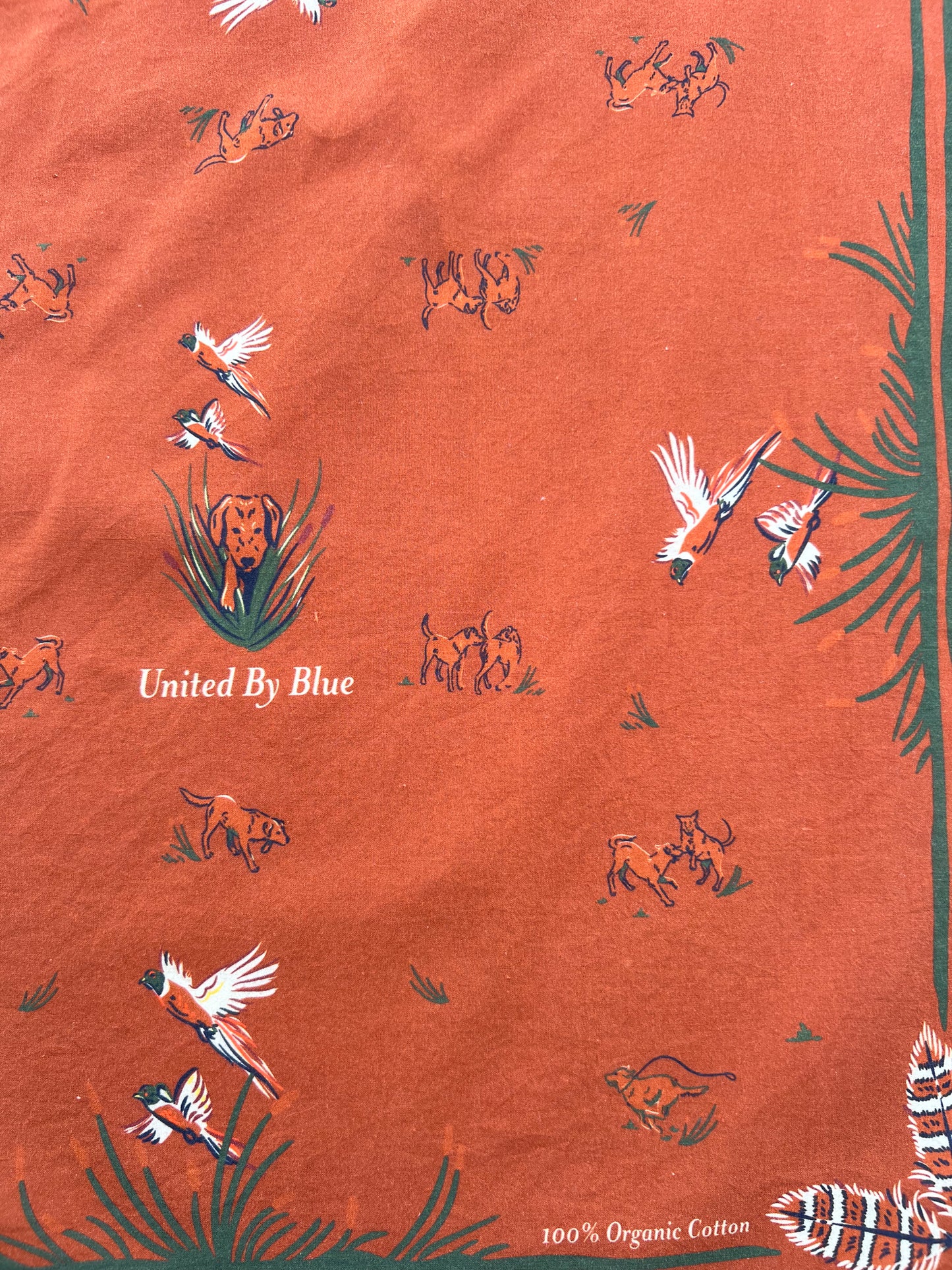 Auburn Bird Print Bandana