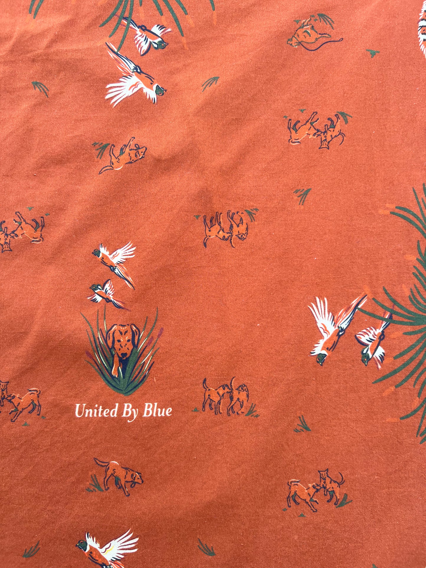 Auburn Bird Print Bandana