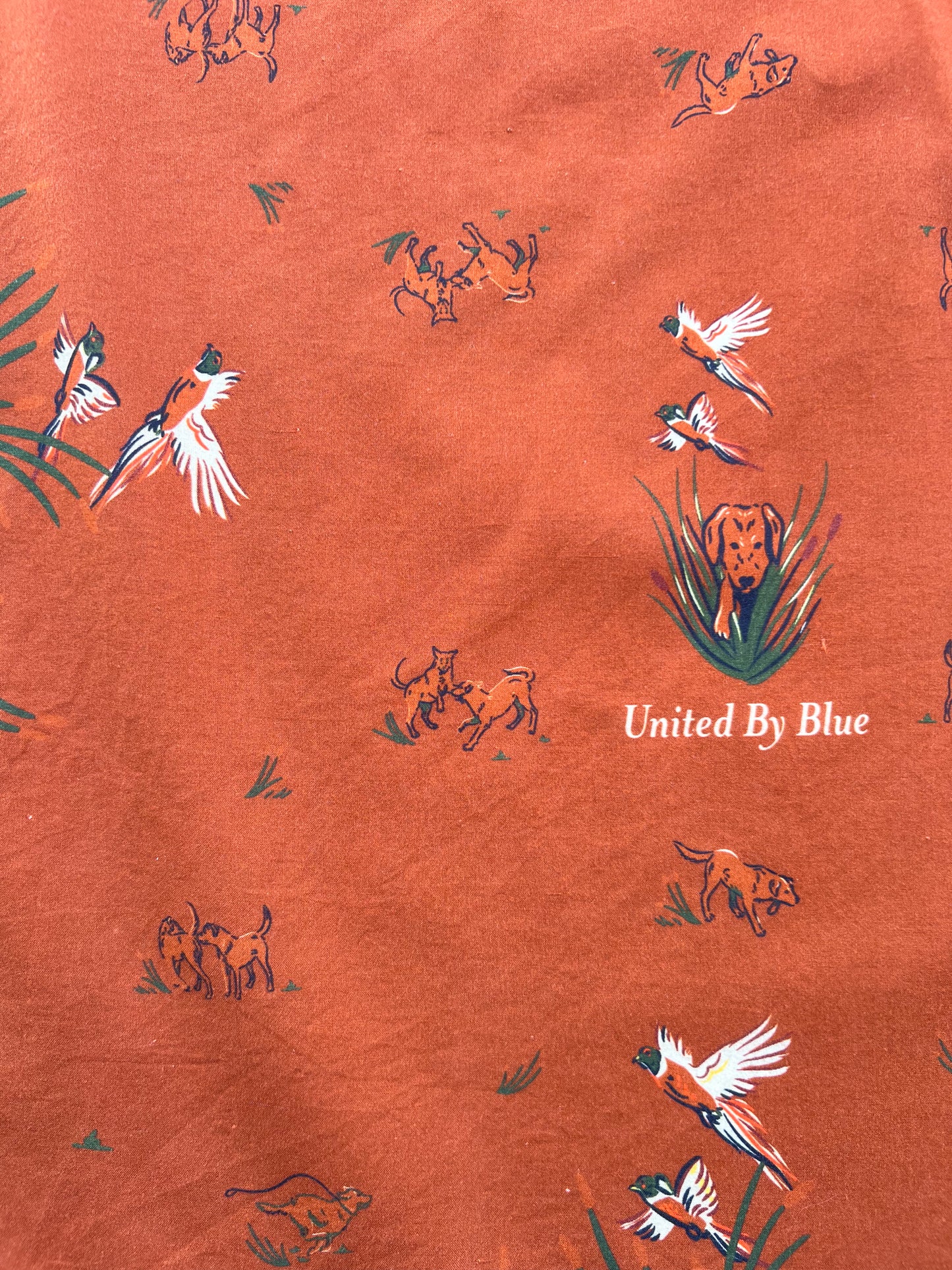 Auburn Bird Print Bandana