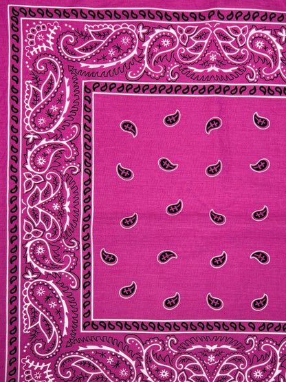 Bright Pink Paisley Print Border Bandana
