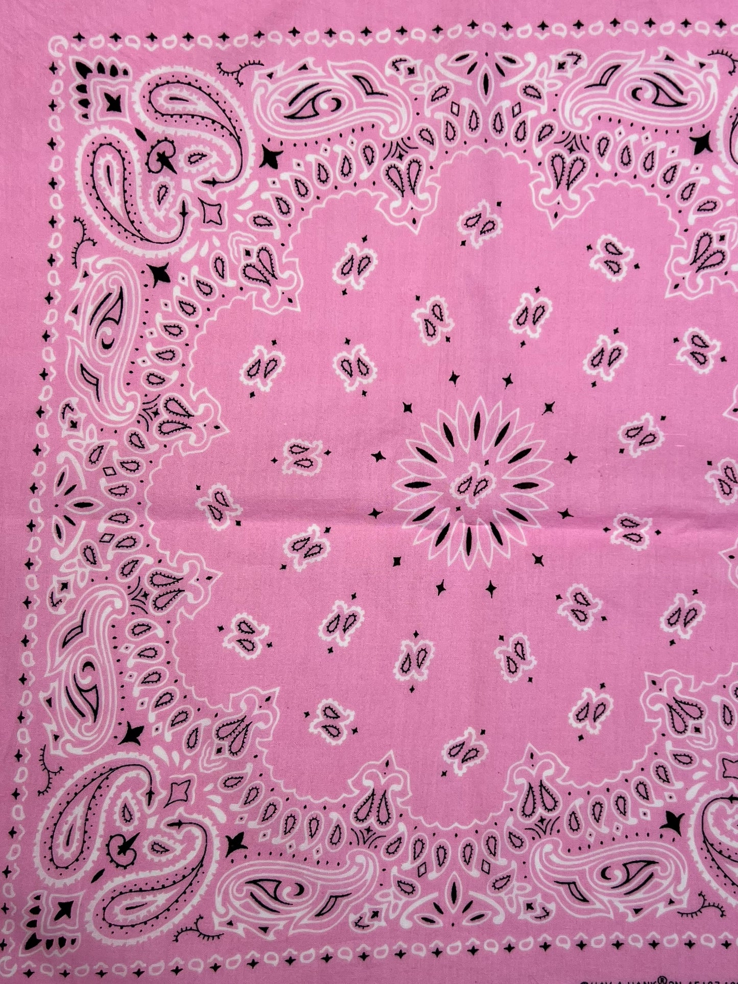 Light Pink Floral & Paisley Print Bandana