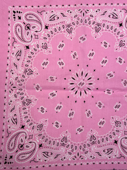 Light Pink Floral & Paisley Print Bandana