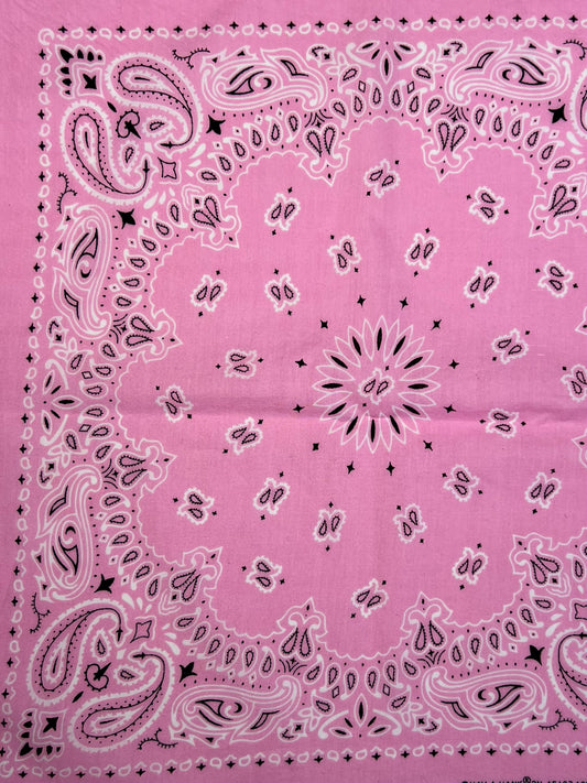 Light Pink Floral & Paisley Print Bandana