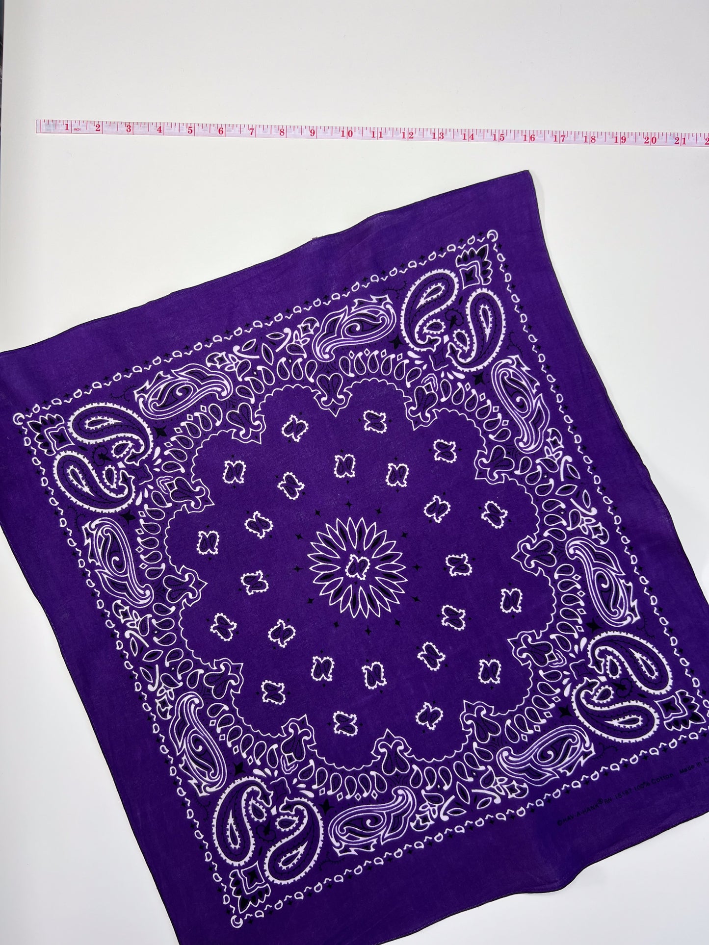 Dark Purple Paisley Border Print Bandana