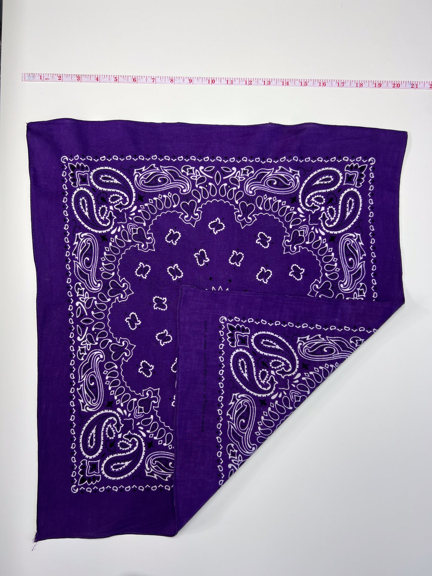 Dark Purple Paisley Border Print Bandana