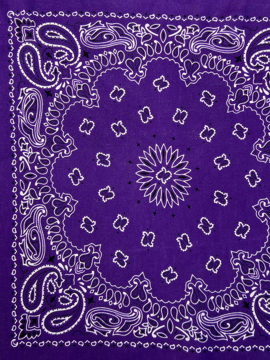 Dark Purple Paisley Border Print Bandana