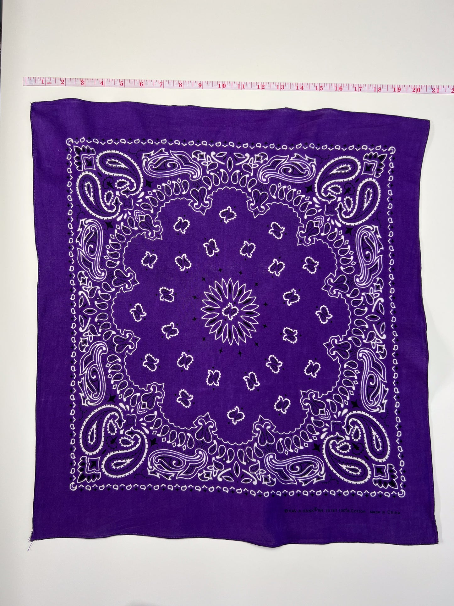 Dark Purple Paisley Border Print Bandana