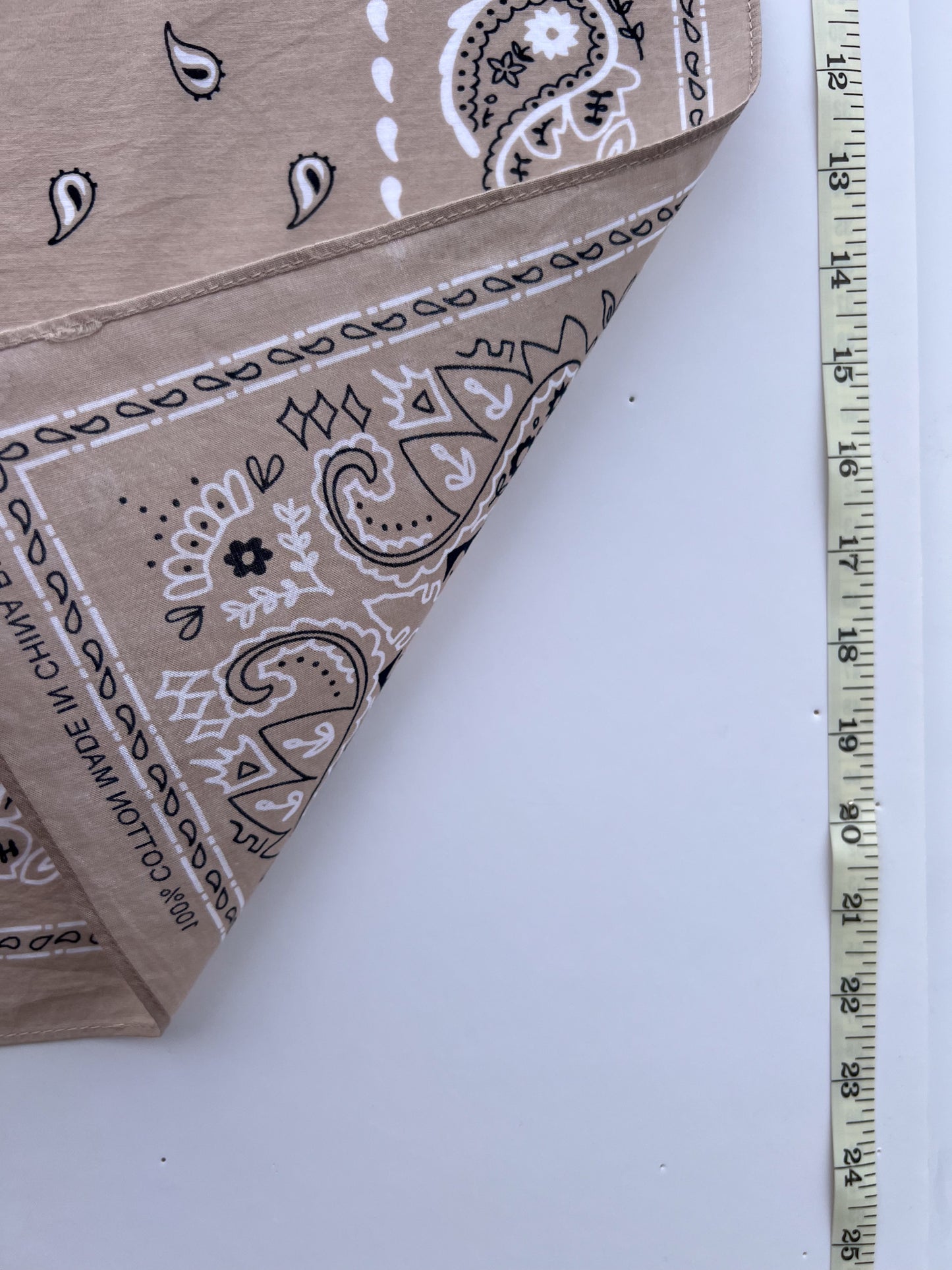 Light Latte Paisley Print Bandana