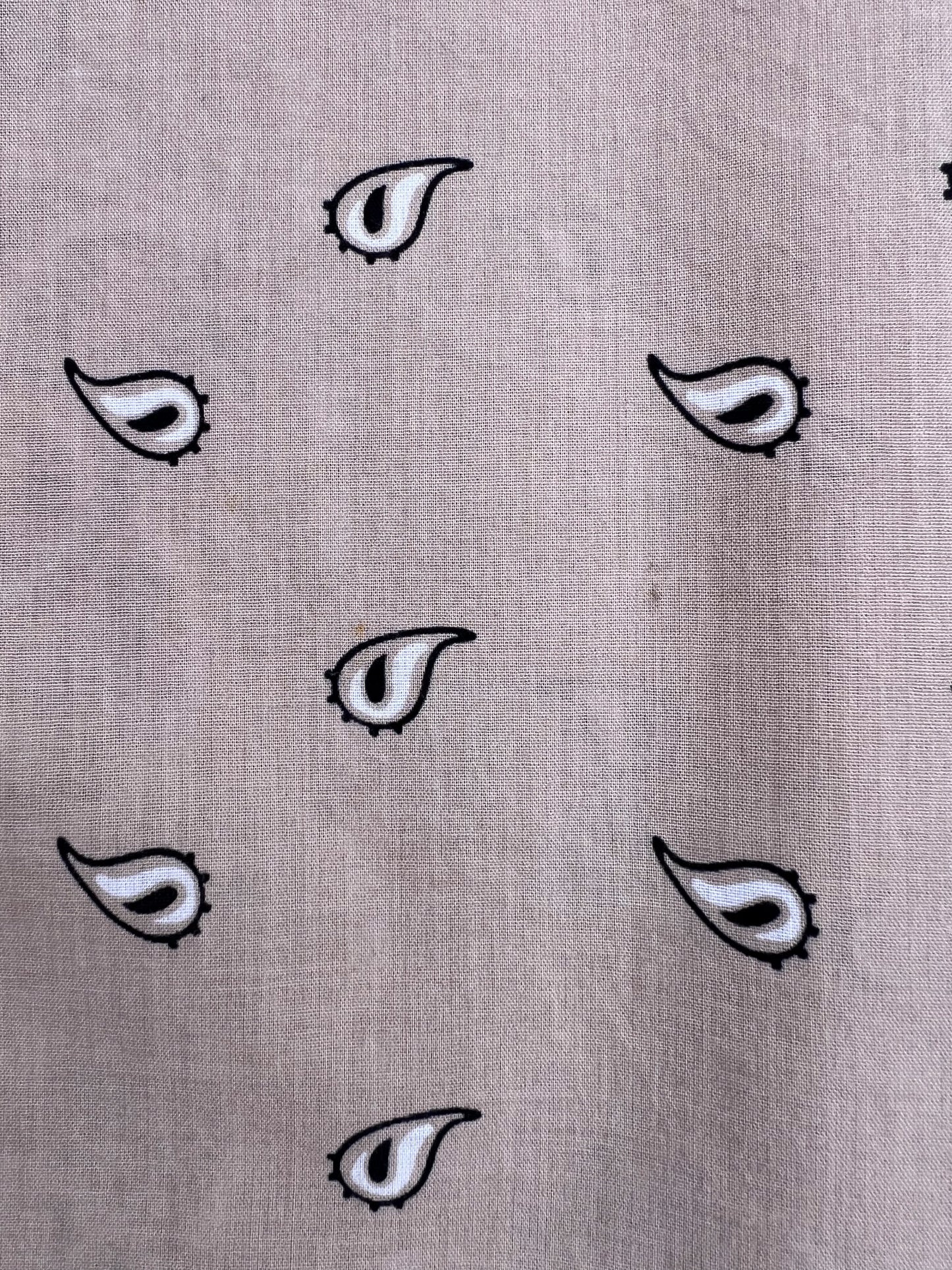 Light Latte Paisley Print Bandana
