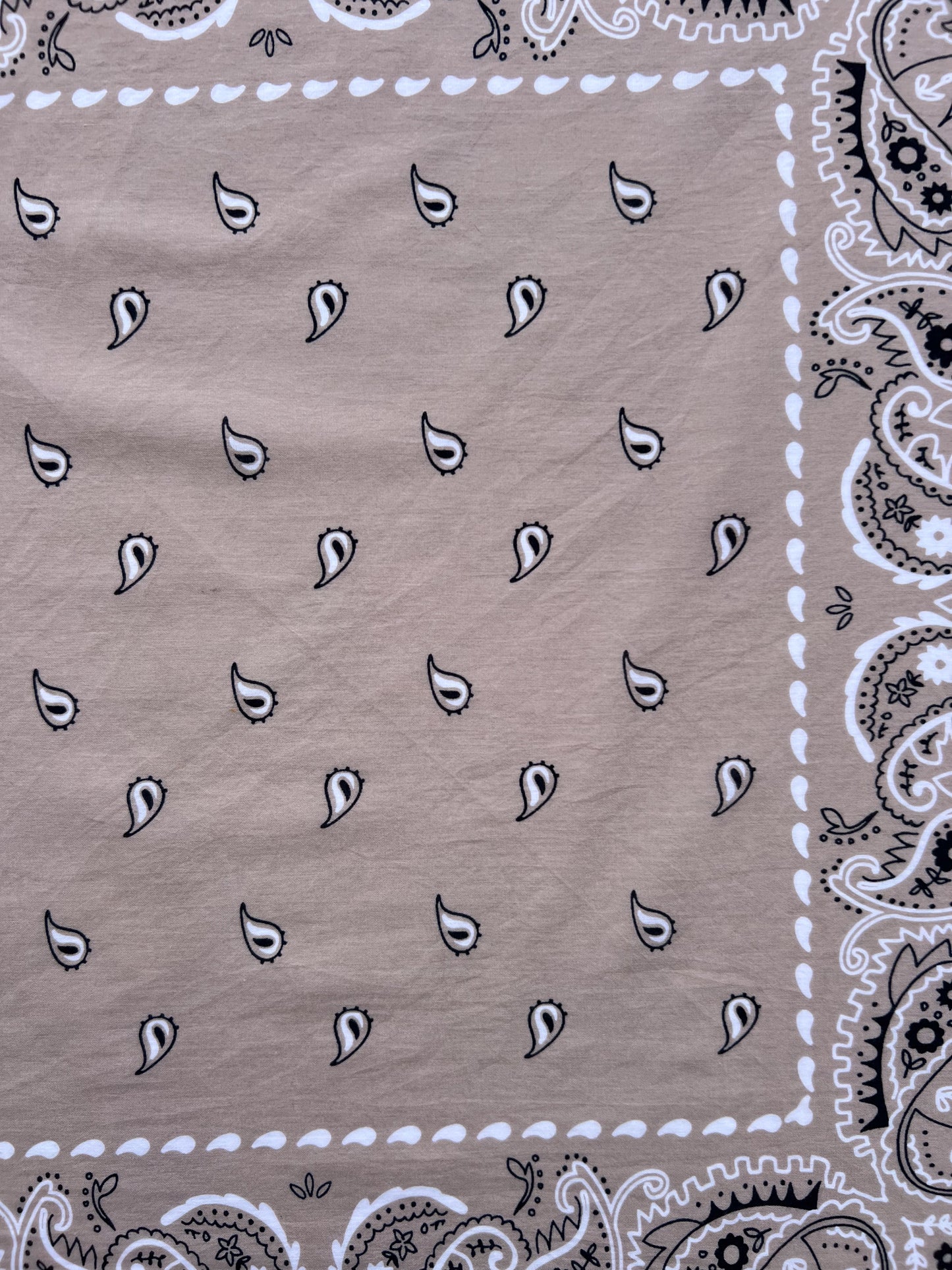 Light Latte Paisley Print Bandana