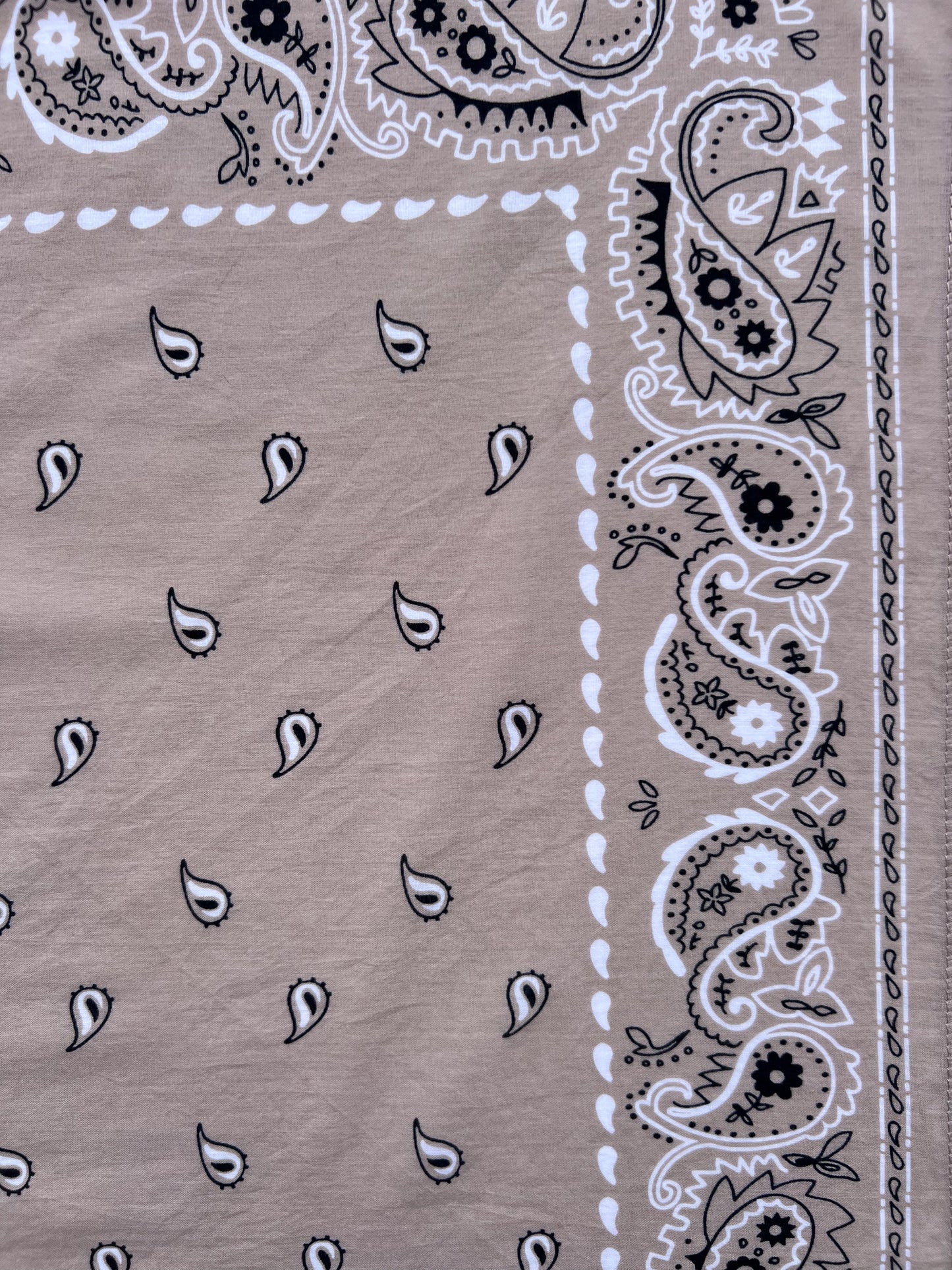 Light Latte Paisley Print Bandana