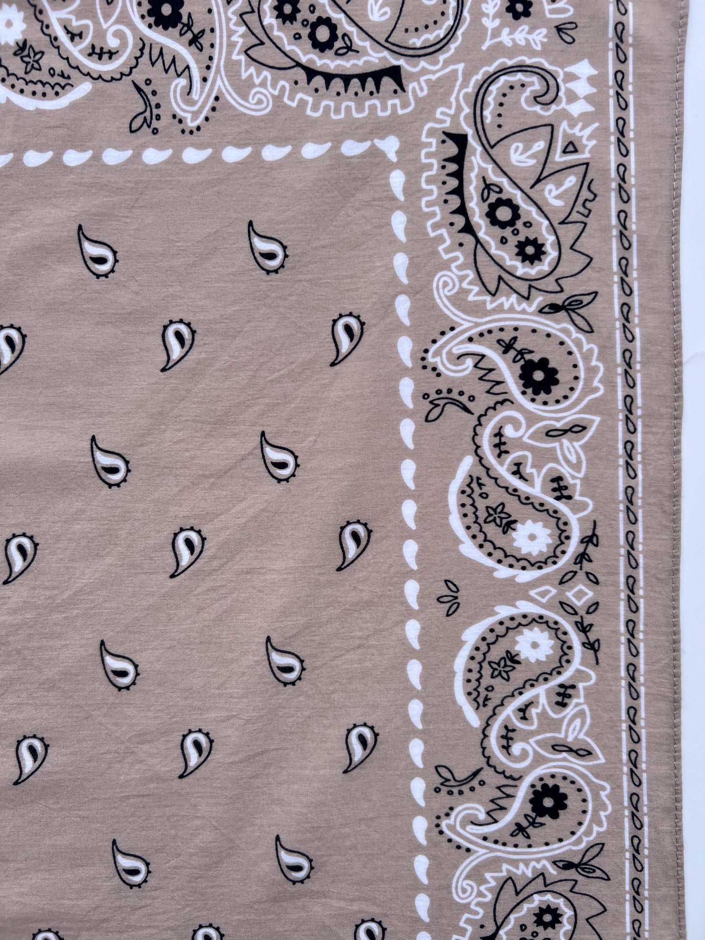 Light Latte Paisley Print Bandana