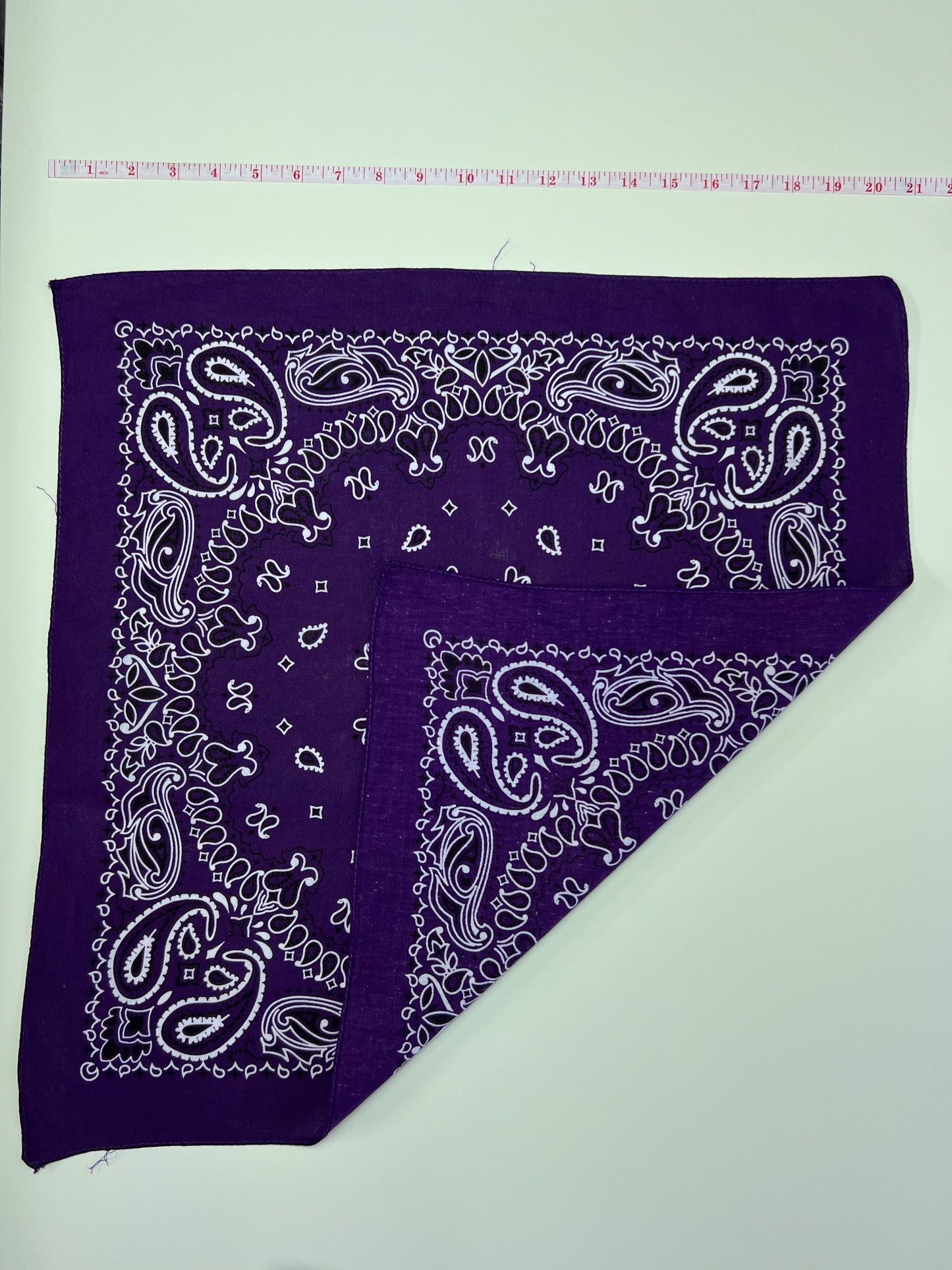 Deep Purple Paisley Print Bandana