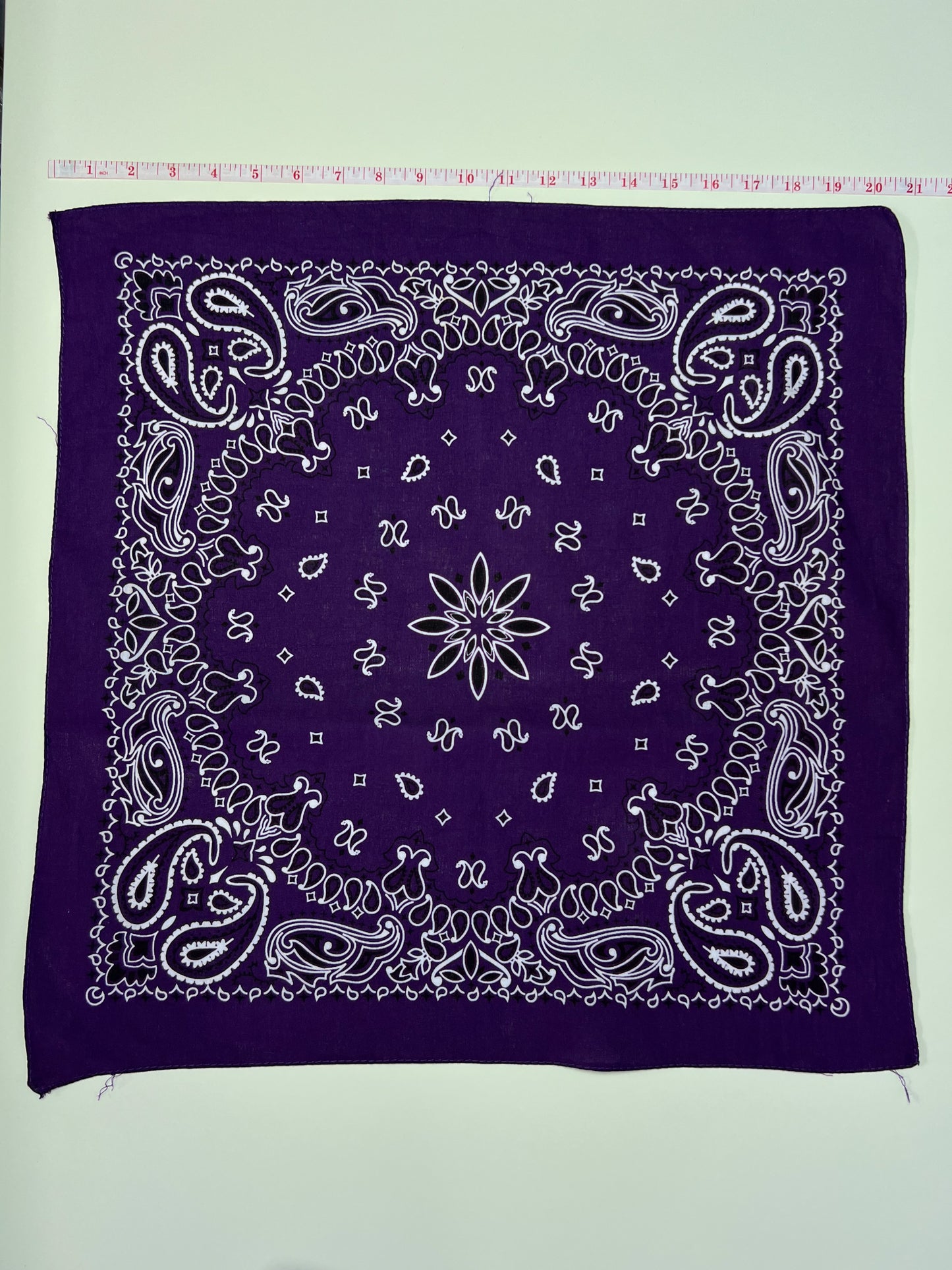 Deep Purple Paisley Print Bandana