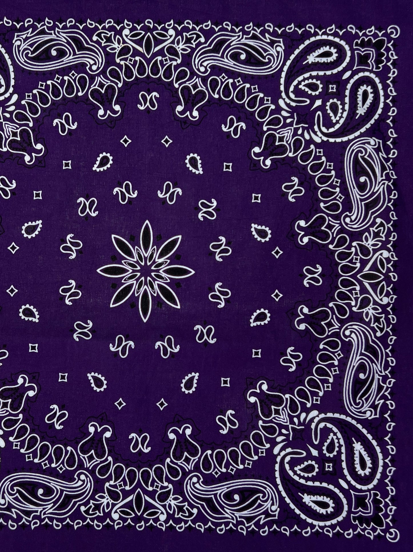 Deep Purple Paisley Print Bandana