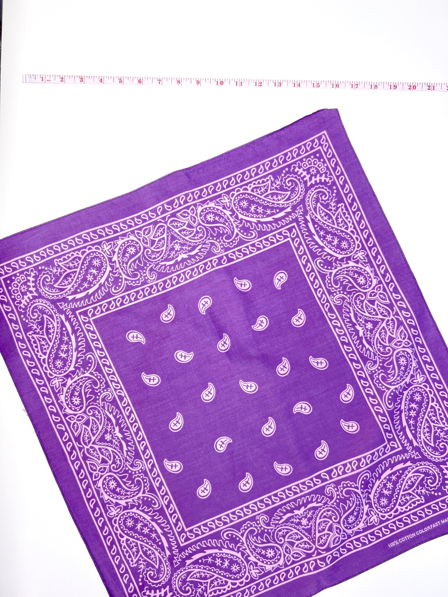Light Purple Paisley Border Print Bandana