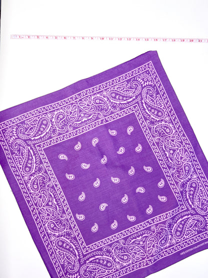 Light Purple Paisley Border Print Bandana