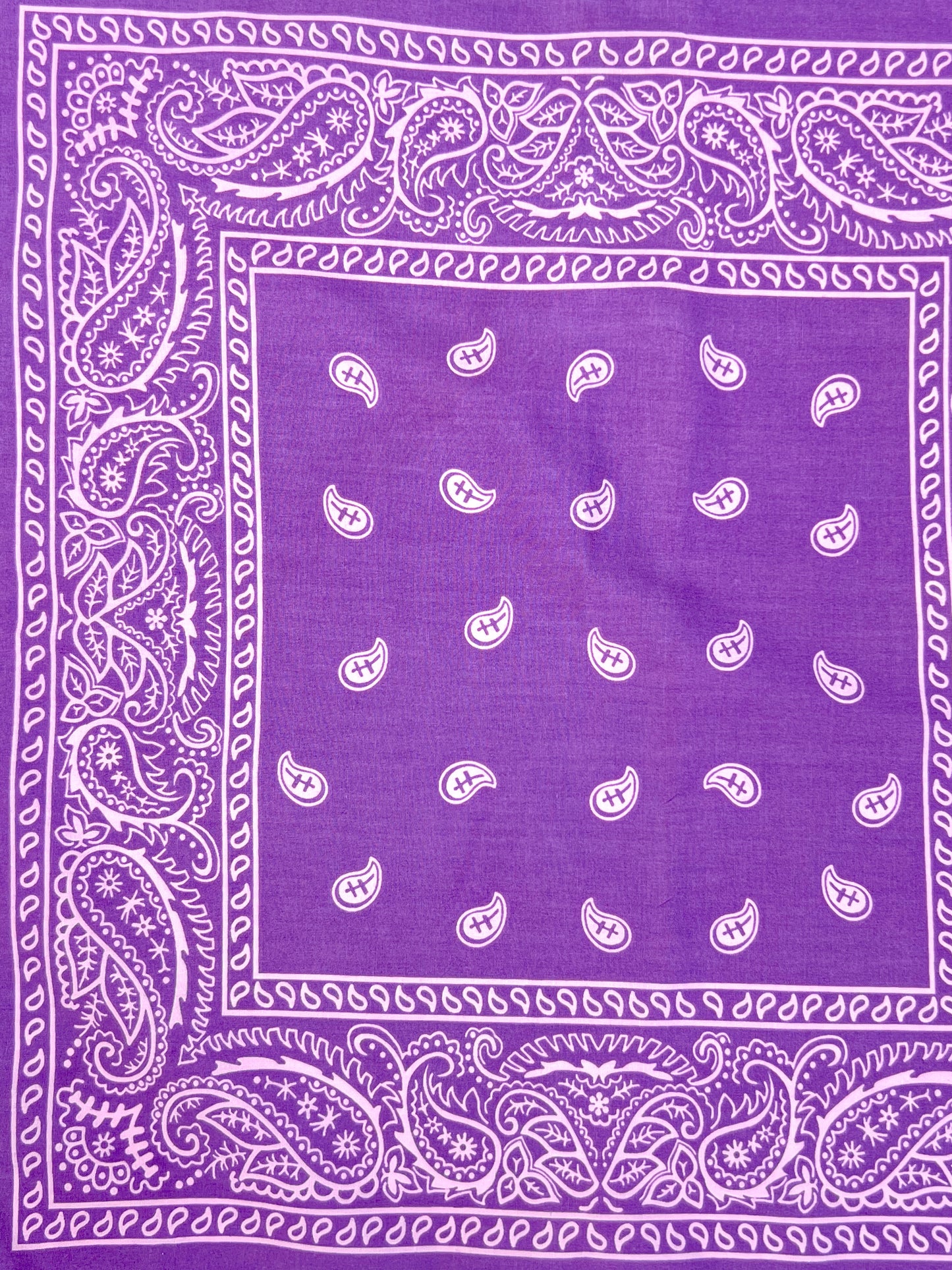 Light Purple Paisley Border Print Bandana