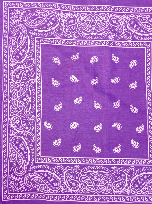 Light Purple Paisley Border Print Bandana
