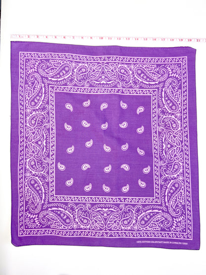 Light Purple Paisley Border Print Bandana