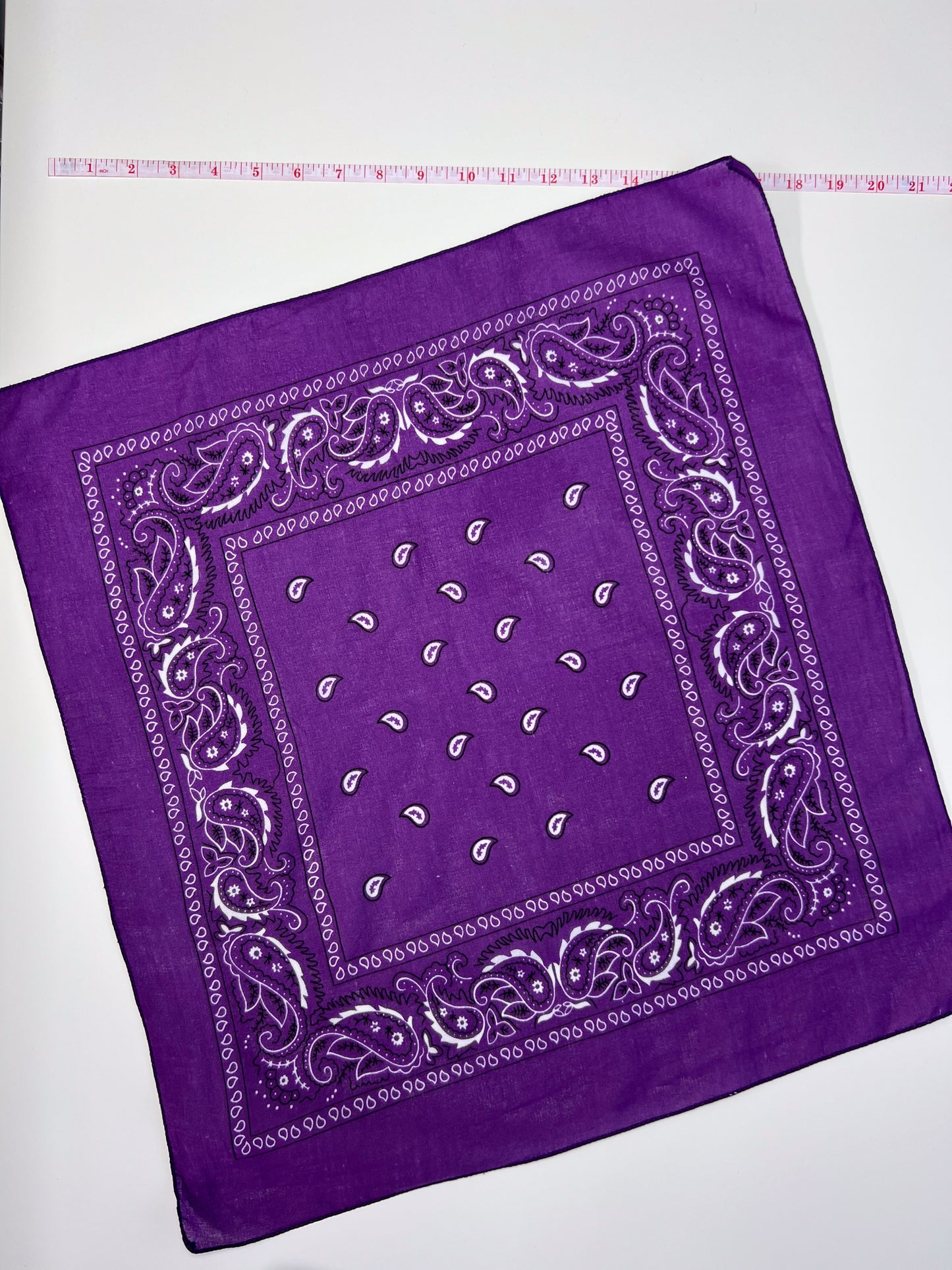 Purple Paisley Border Print Bandana