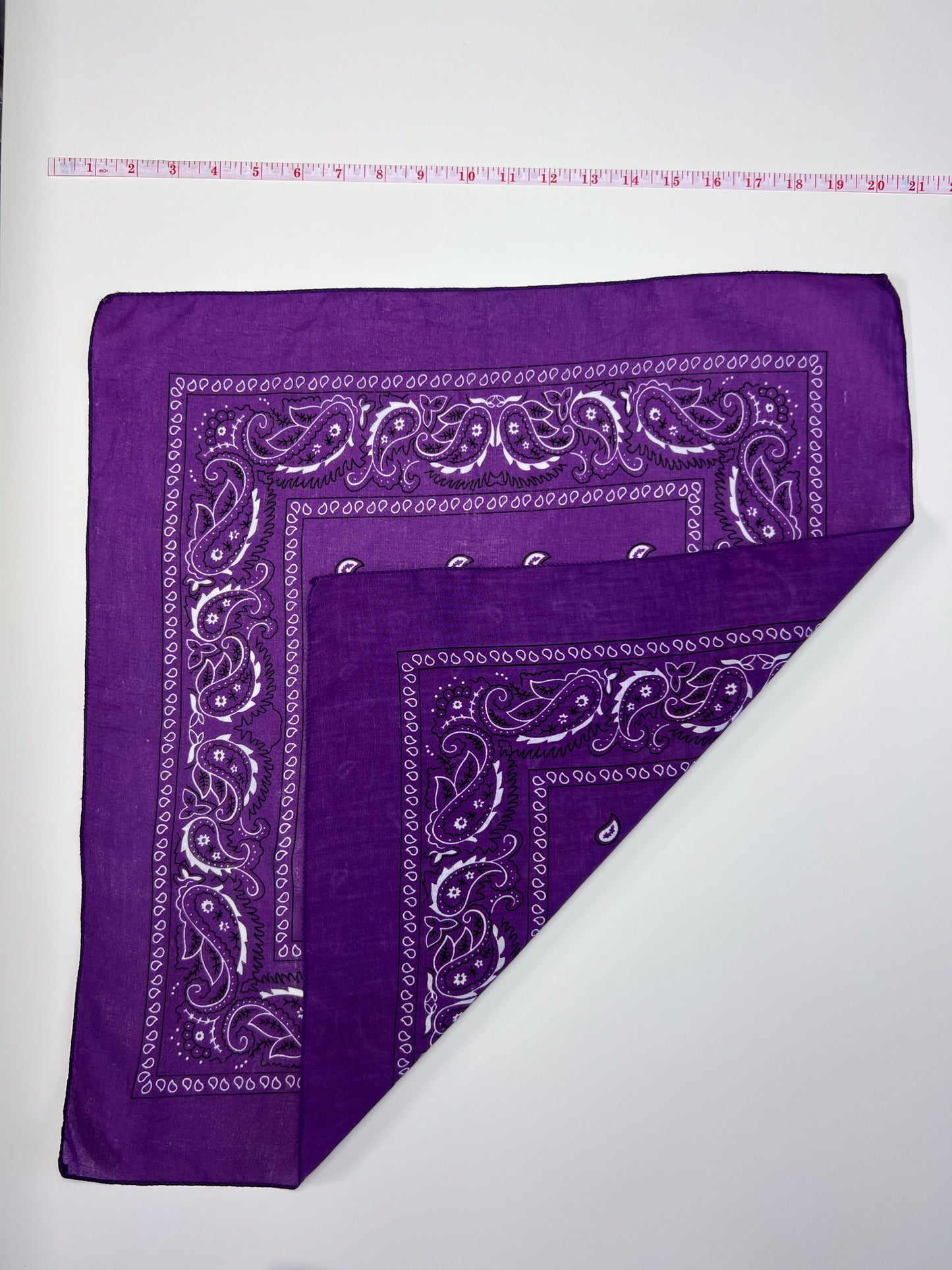 Purple Paisley Border Print Bandana