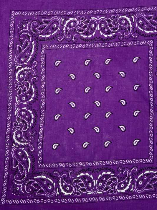 Purple Paisley Border Print Bandana