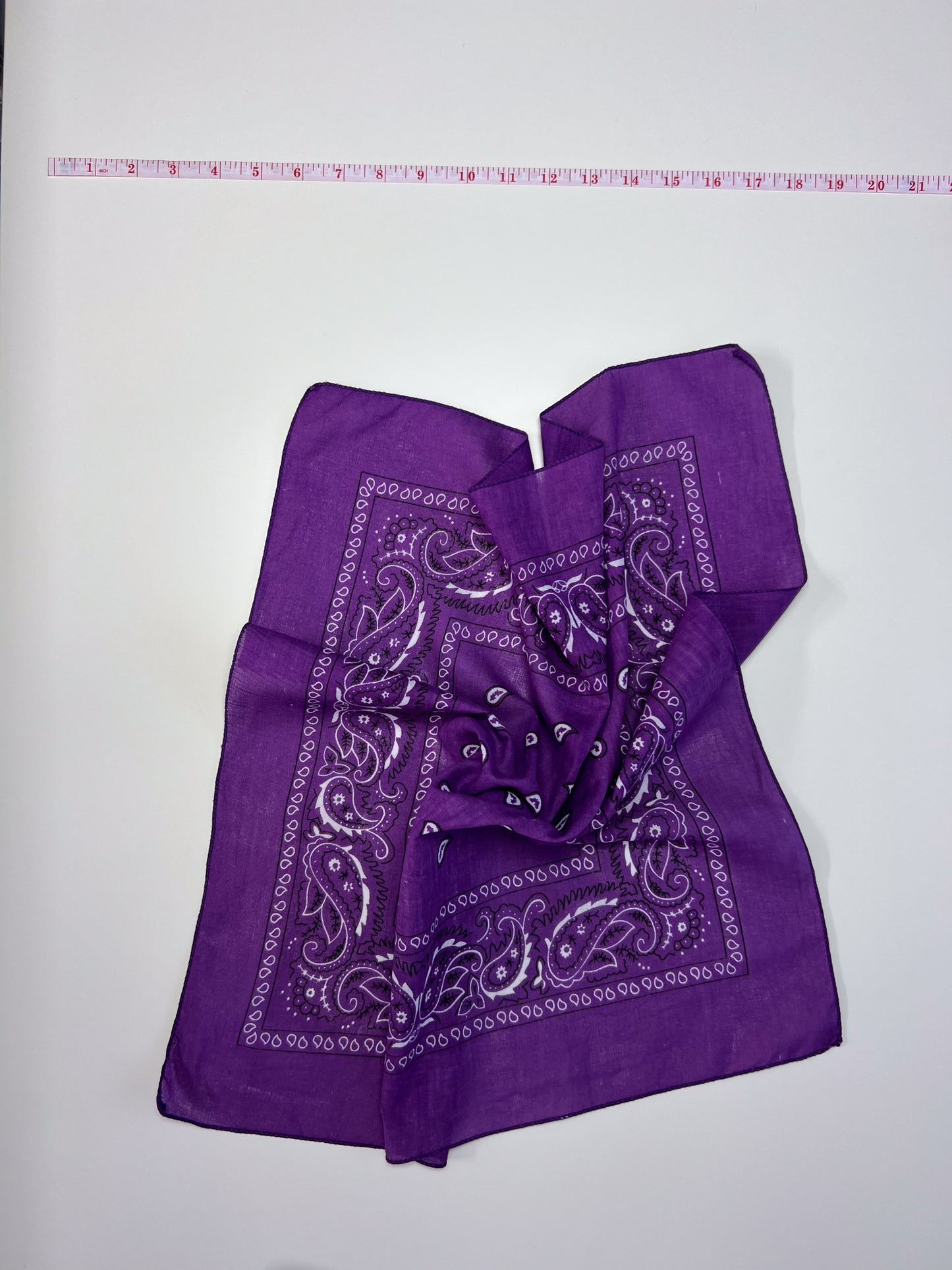 Purple Paisley Border Print Bandana