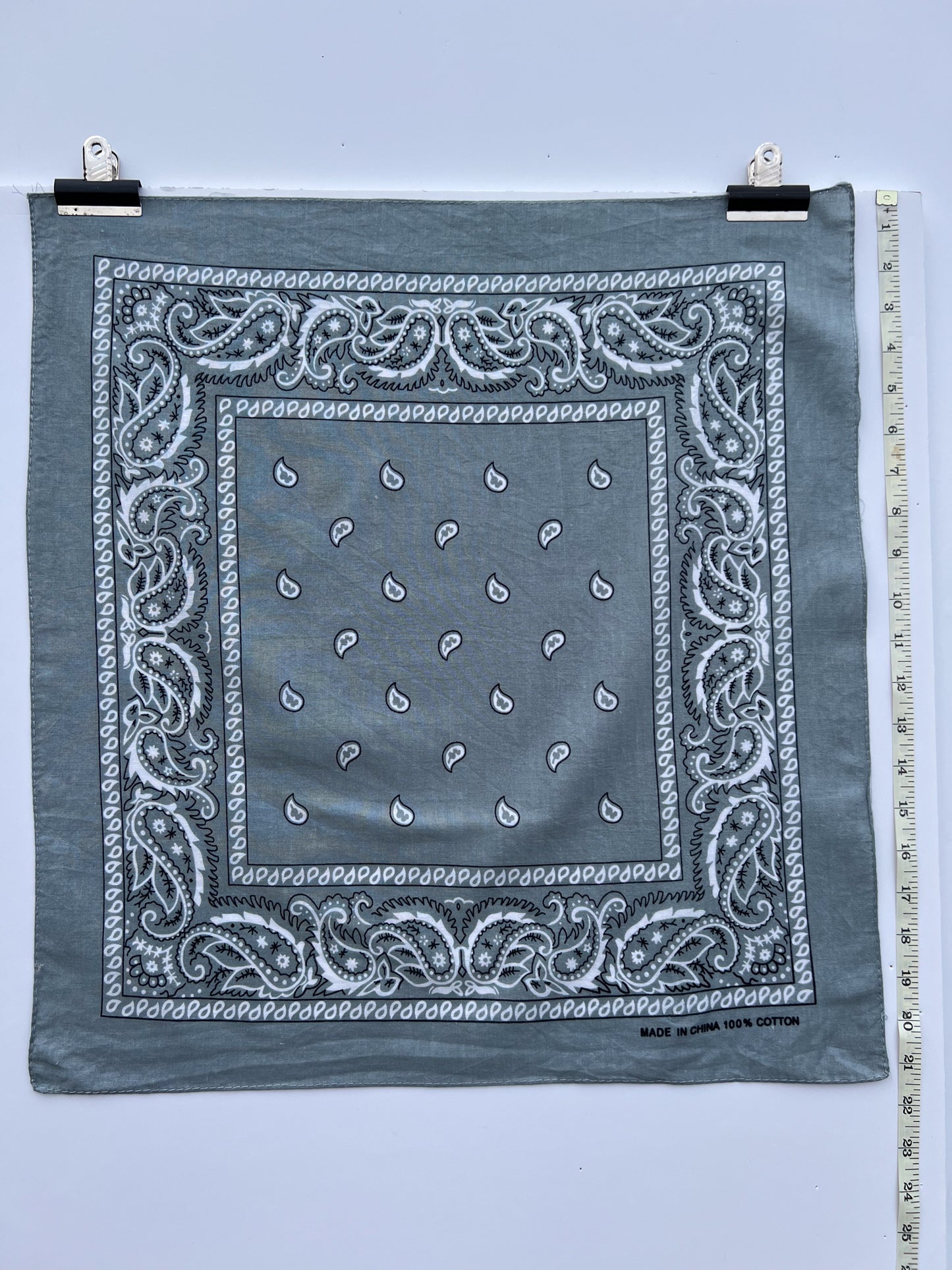 Light Grey Paisley Border Print Bandana