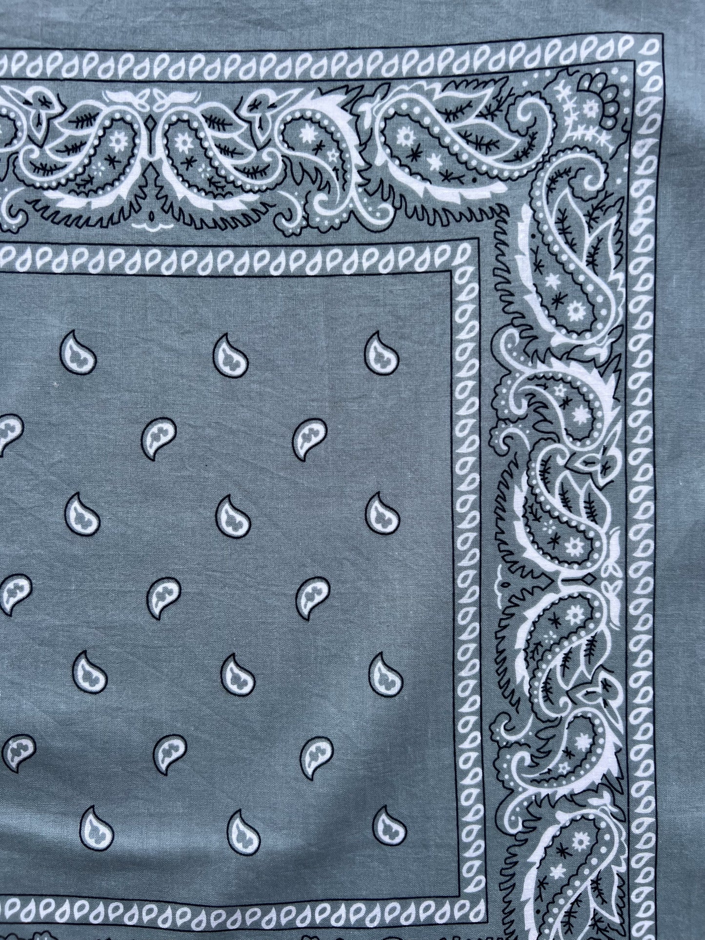Light Grey Paisley Border Print Bandana