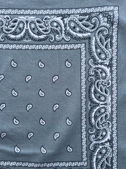 Light Grey Paisley Border Print Bandana