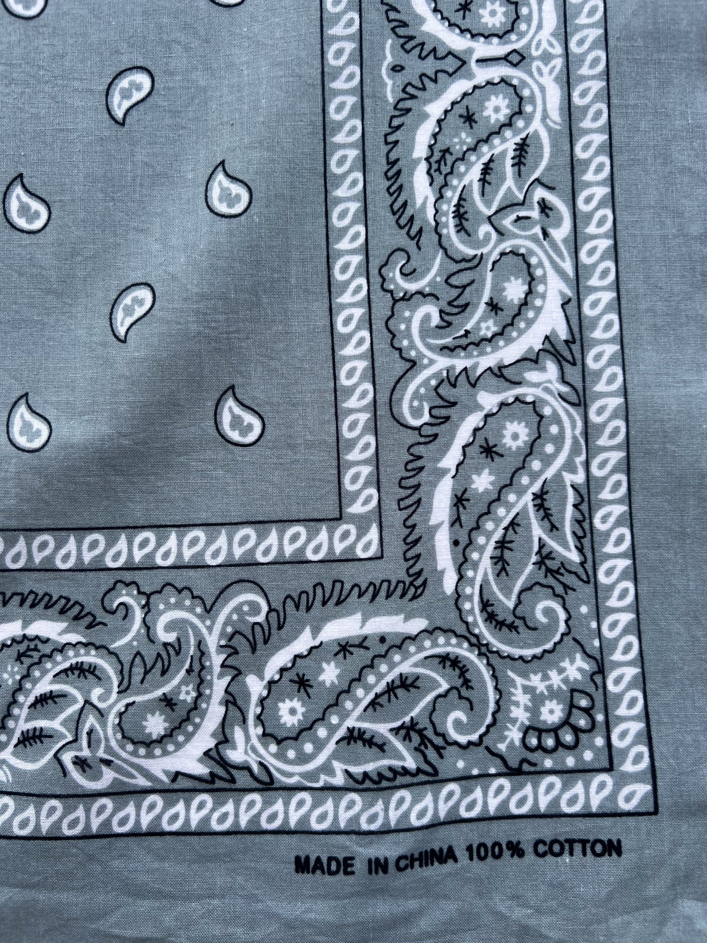 Light Grey Paisley Border Print Bandana