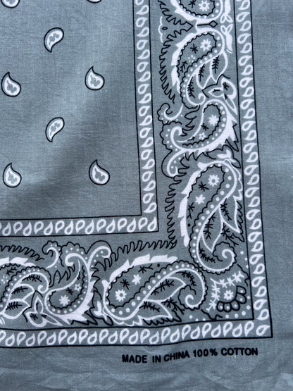 Light Grey Paisley Border Print Bandana