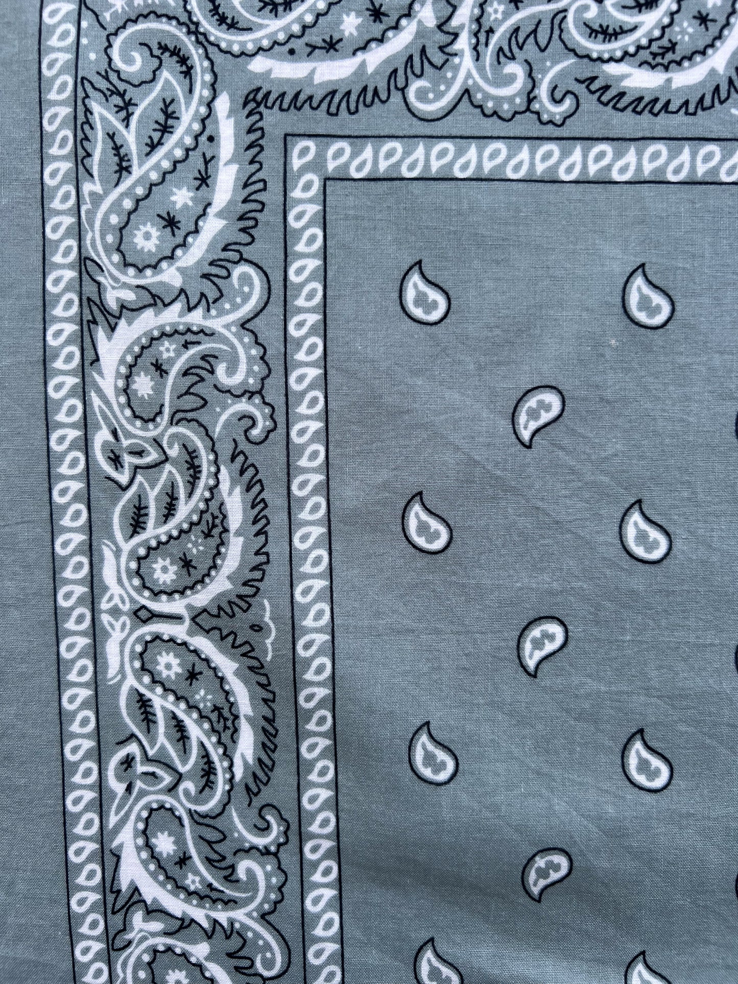 Light Grey Paisley Border Print Bandana