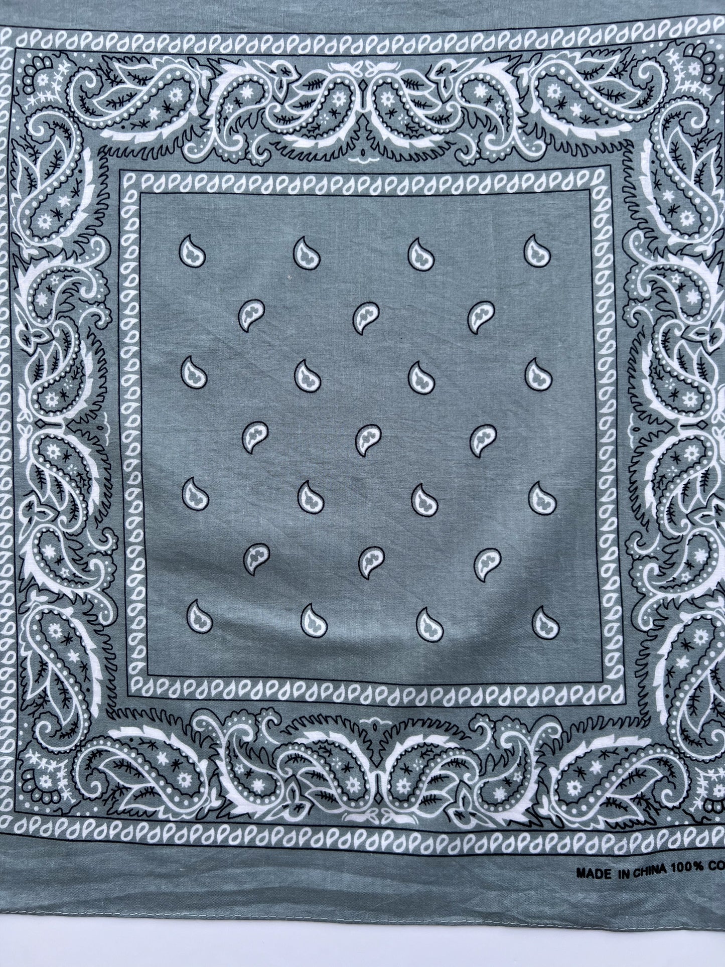 Light Grey Paisley Border Print Bandana