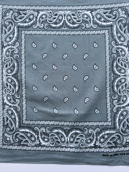 Light Grey Paisley Border Print Bandana