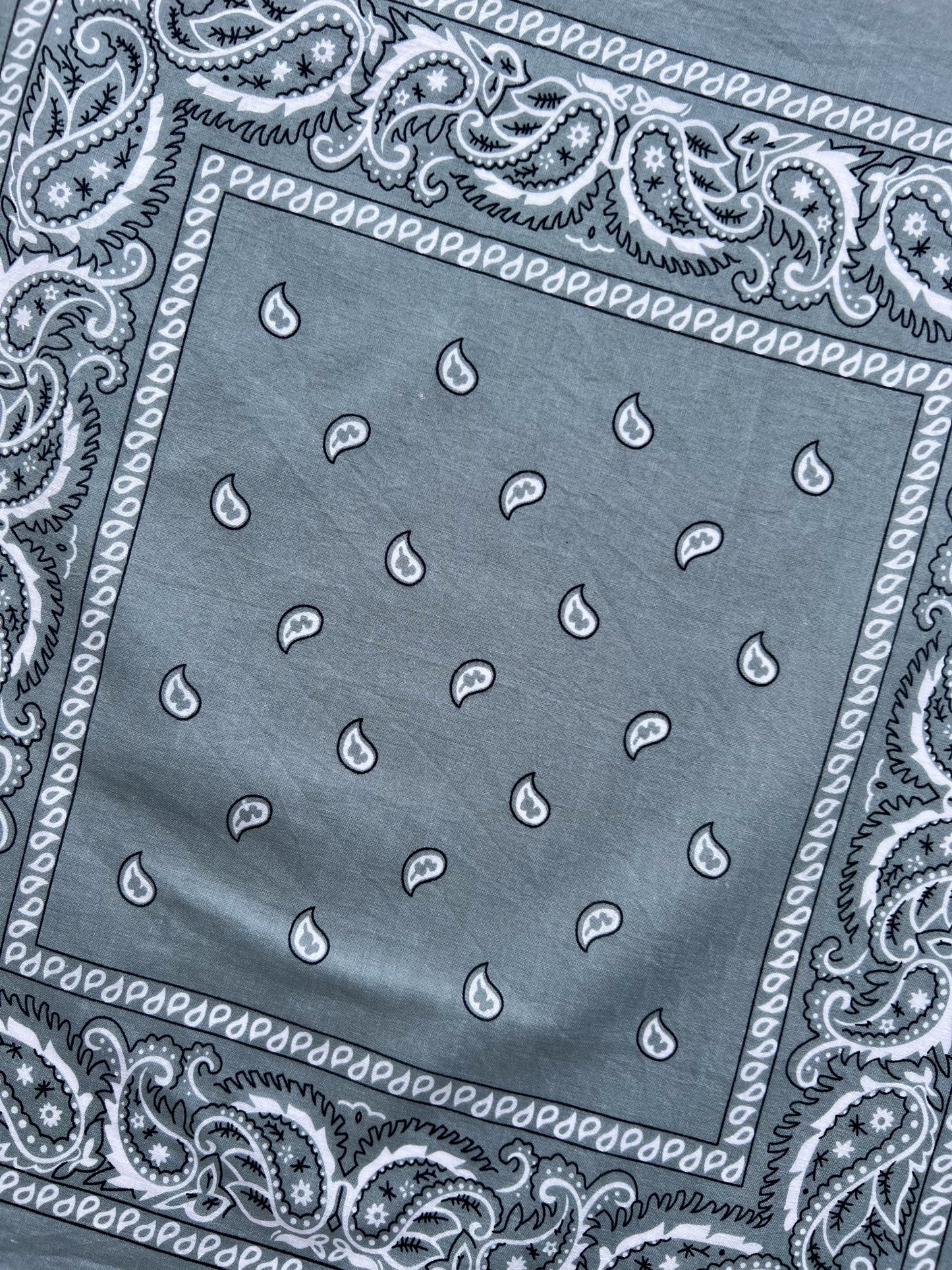 Light Grey Paisley Border Print Bandana