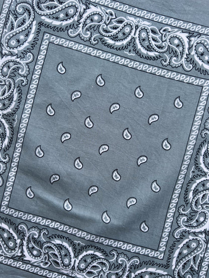Light Grey Paisley Border Print Bandana