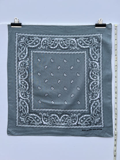 Light Grey Paisley Border Print Bandana