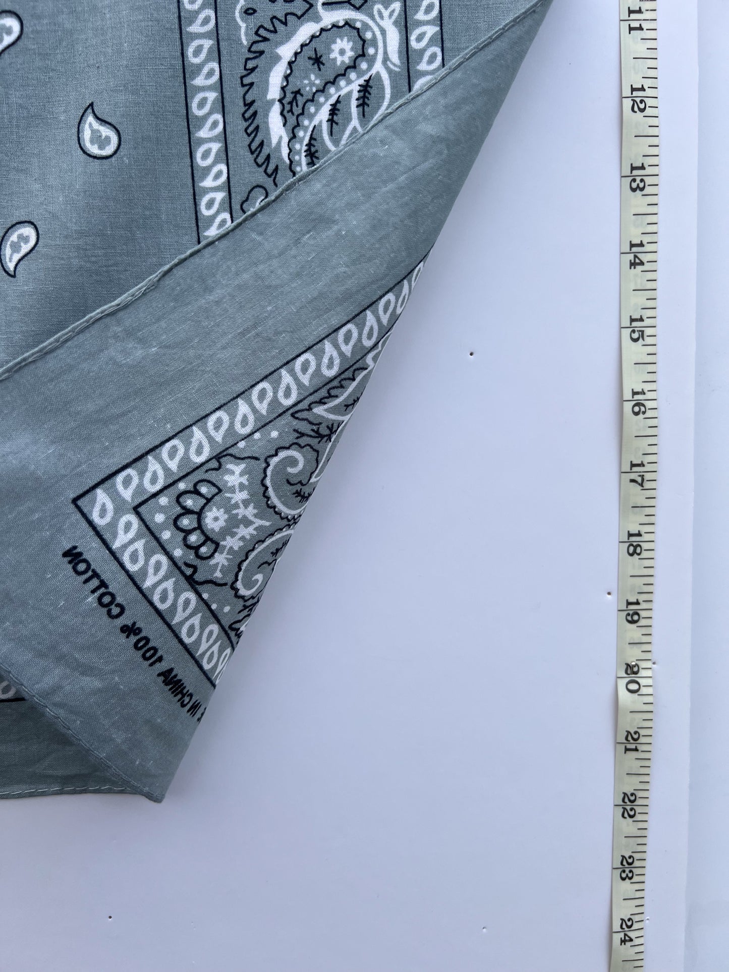 Light Grey Paisley Border Print Bandana